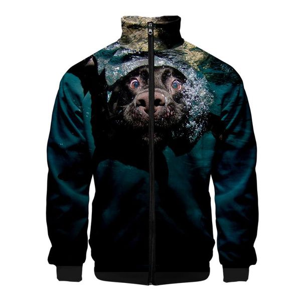 men's jackets natural lovely dog 3d stand collar kids zipper jacket women/men long sleeve casual streetwear funny animal clothes, Black;brown
men's jackets natural lovely dog 3d stand collar kids zipper jacket women/men long sleeve casual streetwear funny animal clothes, Black;brown