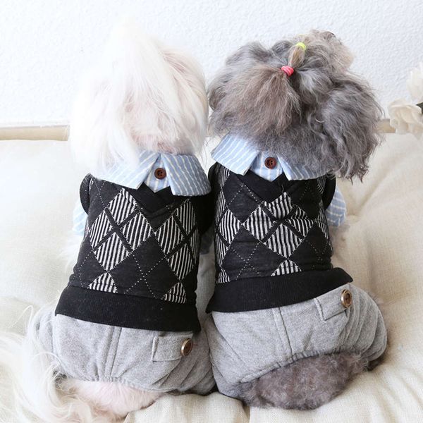 ysgj 20 autumn and winter new fake two piec vt four legged dog clothing autumn and winter clothing
ysgj 20 autumn and winter new fake two piec vt four legged dog clothing autumn and winter clothing