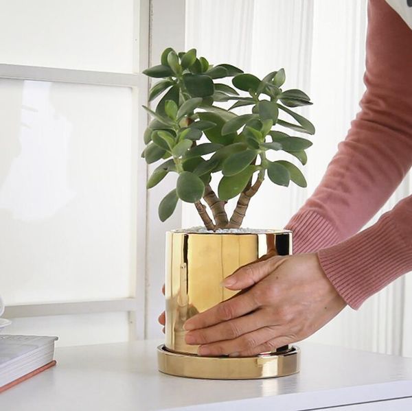vases gold vase flower arrangement electroplating home nordic round pot ceramic wedding room decoration
vases gold vase flower arrangement electroplating home nordic round pot ceramic wedding room decoration