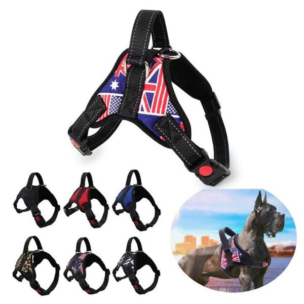 dog collars & leashes pet harness vest adjustable collar hand strap reflective tape breathable mesh training accessories size s m l xl
dog collars & leashes pet harness vest adjustable collar hand strap reflective tape breathable mesh training accessories size s m l xl