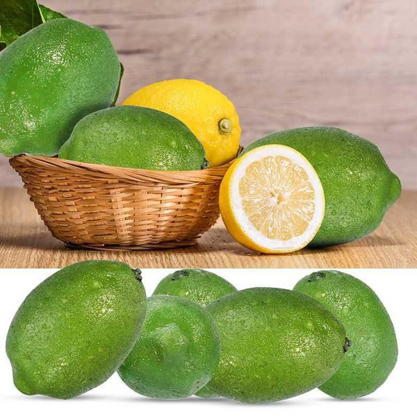 party decoration 6pcs mini green fake fruit artificial plastic imitation home festival pography tools
party decoration 6pcs mini green fake fruit artificial plastic imitation home festival pography tools