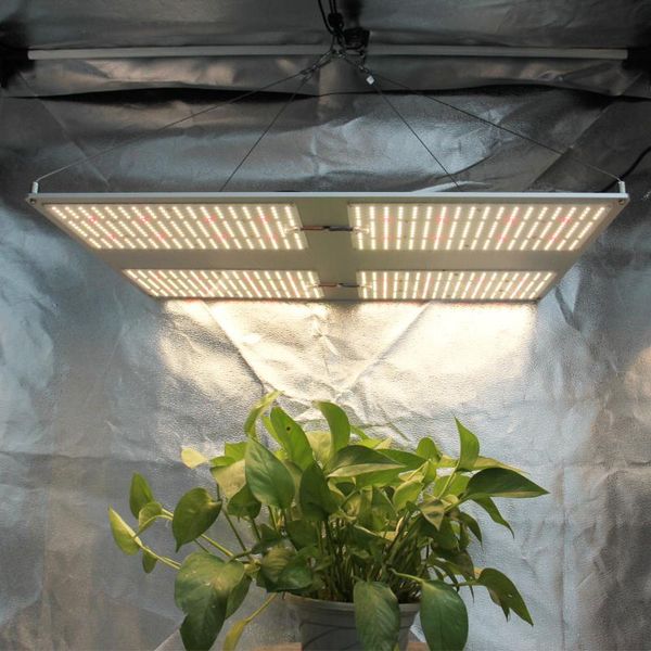 idea grow led grow light full spectrum vp 480w indoor plant hydroponic system led growing light tent and lights panel 
idea grow led grow light full spectrum vp 480w indoor plant hydroponic system led growing light tent and lights panel