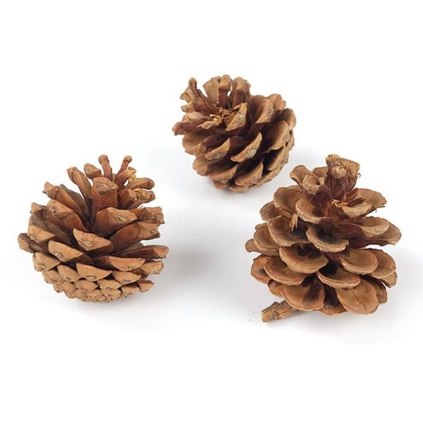 cat toys 3pcs small animal chewing teeth toy pine cone pet chinchilla hamster and other snack
cat toys 3pcs small animal chewing teeth toy pine cone pet chinchilla hamster and other snack