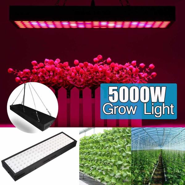 growing lamps led grow light 5000w ac85-265v full spectrum plant lighting fitolampy for plants flowers seedlings cultivation lights
growing lamps led grow light 5000w ac85-265v full spectrum plant lighting fitolampy for plants flowers seedlings cultivation lights