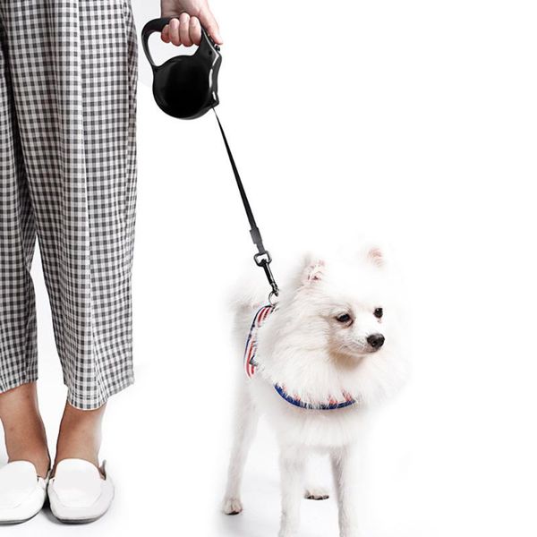 retractable dog leash 9.8 ft heavy duty pet dogs cats walking leash anti-slip handle one-handed brake pet
retractable dog leash 9.8 ft heavy duty pet dogs cats walking leash anti-slip handle one-handed brake pet