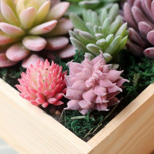 decorative flowers & wreaths mini simulation succulents scindapsus plants home garden office deskdecoration holiday gifts product
decorative flowers & wreaths mini simulation succulents scindapsus plants home garden office deskdecoration holiday gifts product