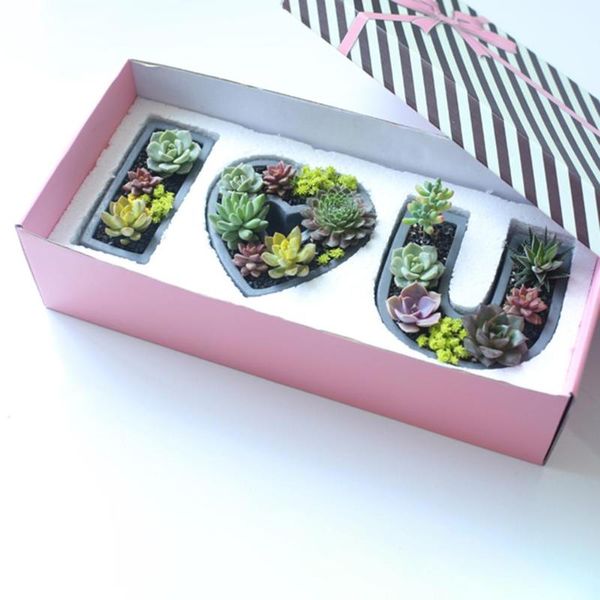 craft tools i love you series succulent plant pot mould diy handmade cement creative cartoon shaped flower set silicone mold #co
craft tools i love you series succulent plant pot mould diy handmade cement creative cartoon shaped flower set silicone mold #co