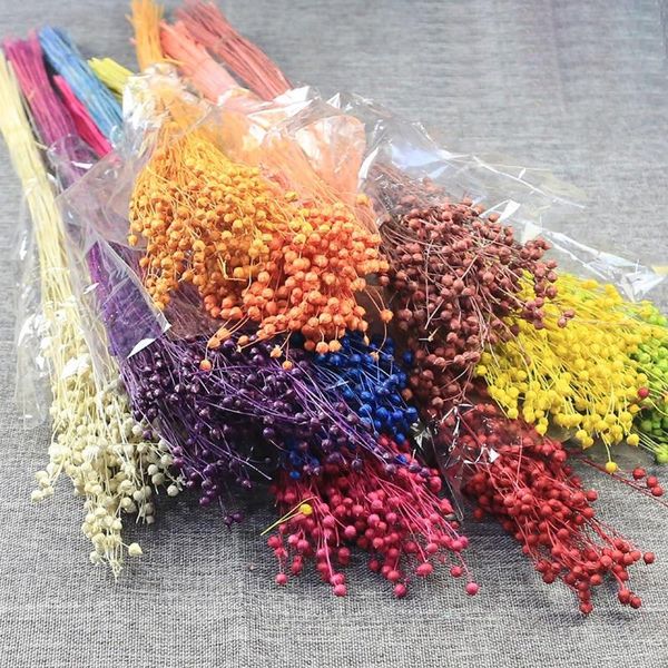 decorative flowers & wreaths natural preserved dried rich beans marriage wreath colorful nordic home table decor wedding christmas party dec
decorative flowers & wreaths natural preserved dried rich beans marriage wreath colorful nordic home table decor wedding christmas party dec