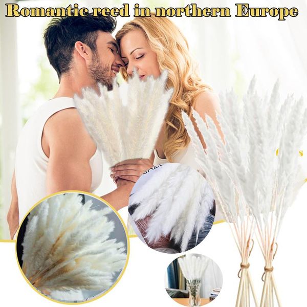 15pc dried decoration dried flowers vases bouquet boho decoration branches bouquet reed flowers artificial plants
15pc dried decoration dried flowers vases bouquet boho decoration branches bouquet reed flowers artificial plants