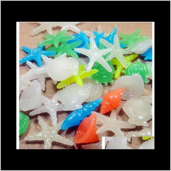 fish tank luminous artificial pebble stone garden lawn flowerpot decorations night lights shell starfishs conch aq qylwnm lyqlove
fish tank luminous artificial pebble stone garden lawn flowerpot decorations night lights shell starfishs conch aq qylwnm lyqlove