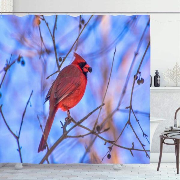 shower curtains curtain set with hooks 60x72 tree red natural canada cardinal flying bird cardinals city eating wild perched cardinalis
shower curtains curtain set with hooks 60x72 tree red natural canada cardinal flying bird cardinals city eating wild perched cardinalis