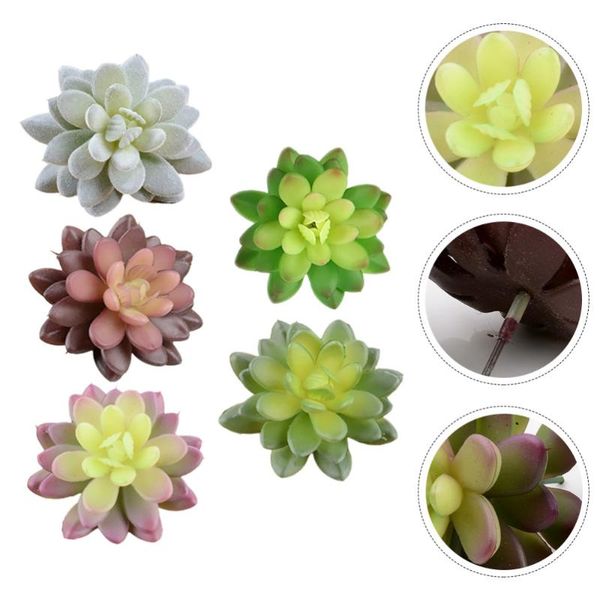 decorative flowers & wreaths 5pcs simulated succulent decors imitation plants fake plant ornaments
decorative flowers & wreaths 5pcs simulated succulent decors imitation plants fake plant ornaments
