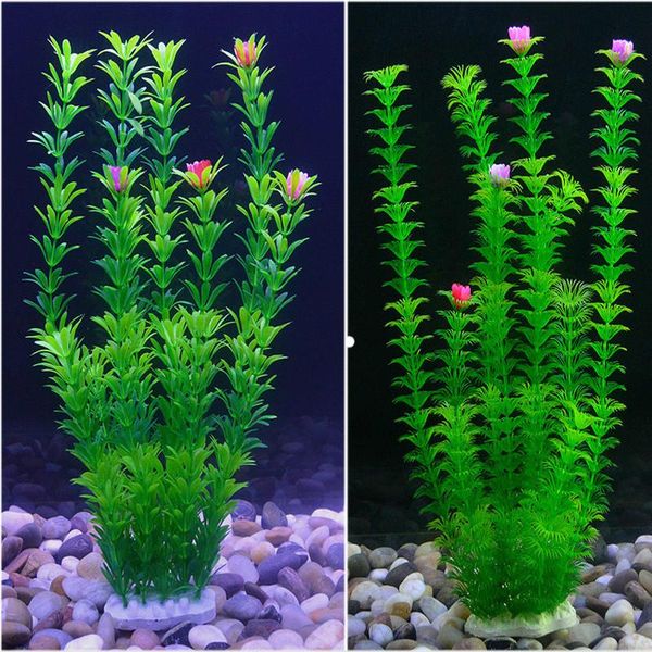 decorations aquarium plants ornament artificial aquatic plastic underwater water grass plant landscape decor fish tank decoration
decorations aquarium plants ornament artificial aquatic plastic underwater water grass plant landscape decor fish tank decoration