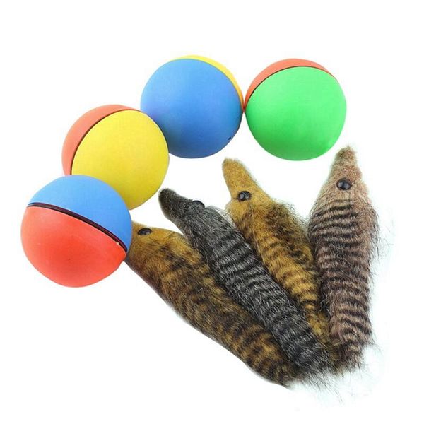 cat toys pet dog electric teaser ball jumping rolling chasing interactive toy weasel activation kids pets funny beaver
cat toys pet dog electric teaser ball jumping rolling chasing interactive toy weasel activation kids pets funny beaver