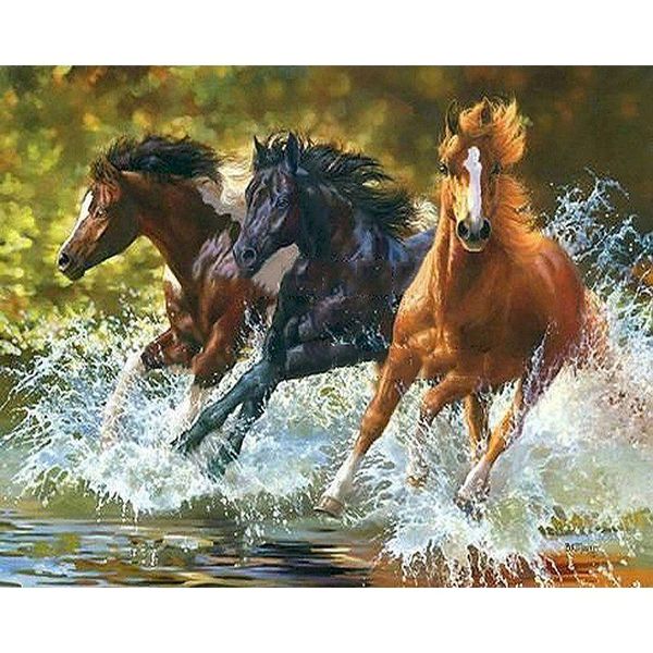 oil painting by numbers running horses oil paint kits for adults handpainted color canvas wall p home decor
oil painting by numbers running horses oil paint kits for adults handpainted color canvas wall p home decor