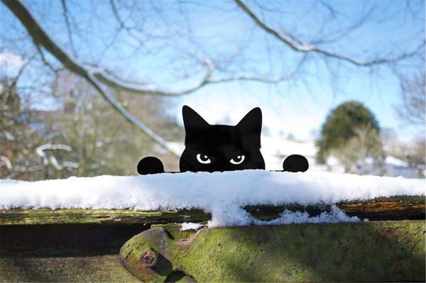 mats & pads cat garden gifts lawn ornament for kitty lovers peeping yard artsupport wholesale and drop
mats & pads cat garden gifts lawn ornament for kitty lovers peeping yard artsupport wholesale and drop
