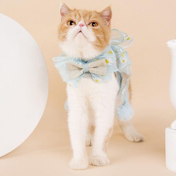 cat collars & leads bowknot harness vest soft breathable dog nylon clothes leash for dogs puppy collar pet strap costume
cat collars & leads bowknot harness vest soft breathable dog nylon clothes leash for dogs puppy collar pet strap costume