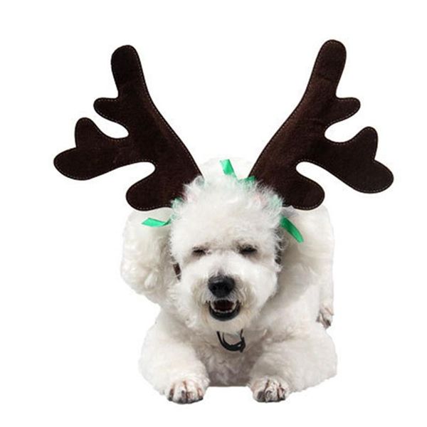 party favor dog puppy cat cosplay product headwear caps hat for pets christmas pet headband deer horn costume
party favor dog puppy cat cosplay product headwear caps hat for pets christmas pet headband deer horn costume