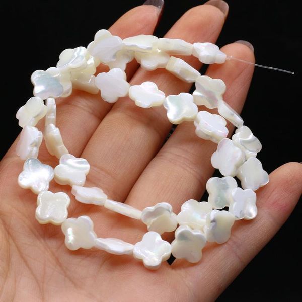 other natural freshwater white shell plum blossom shape for diy jewelry making necklace earrings accessories gift
other natural freshwater white shell plum blossom shape for diy jewelry making necklace earrings accessories gift