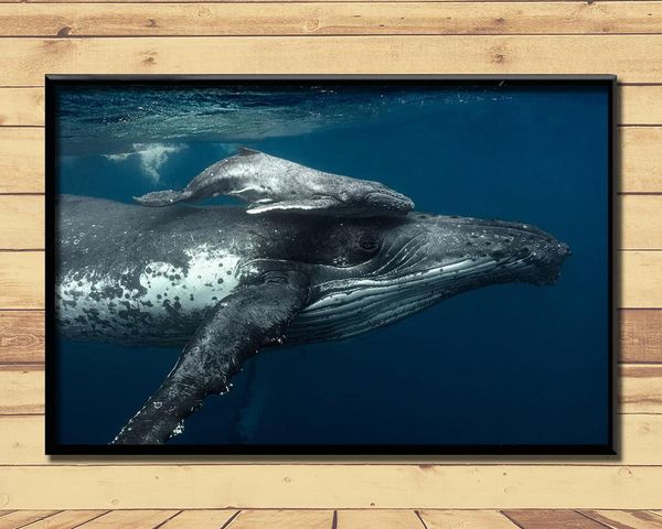 paintings humpback whale ferocious giant marine animal (9) wall posters prints silk art painting for home bedroom decor
paintings humpback whale ferocious giant marine animal (9) wall posters prints silk art painting for home bedroom decor