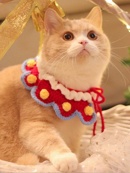 cat collars & leads christmas pet collar handmade wool knitted bib dog necklace year gift
cat collars & leads christmas pet collar handmade wool knitted bib dog necklace year gift
