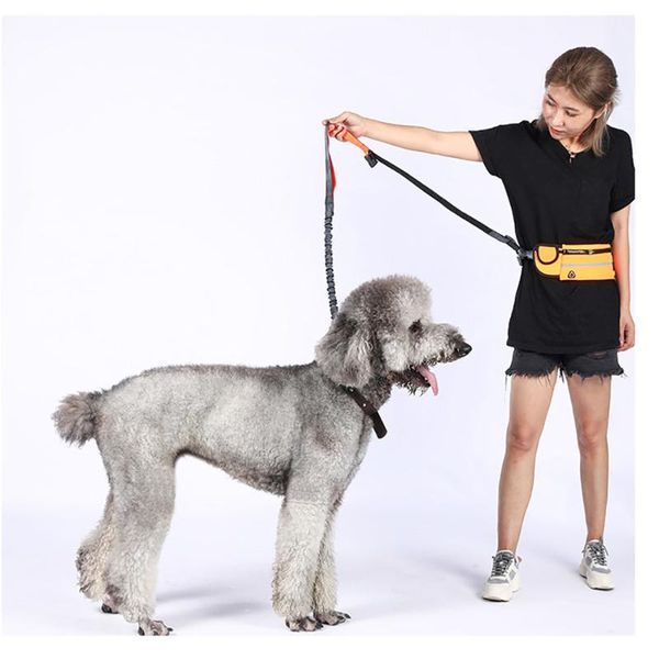 dog collars & leashes reflective leash traction rope pet running belt elastic hands pull metal d-ring with waist bag
dog collars & leashes reflective leash traction rope pet running belt elastic hands pull metal d-ring with waist bag