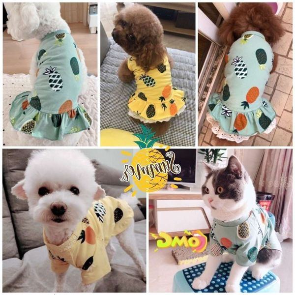 summer thin pet skirt cute dog clothes small princess t-shirt cool tide brand cat
summer thin pet skirt cute dog clothes small princess t-shirt cool tide brand cat