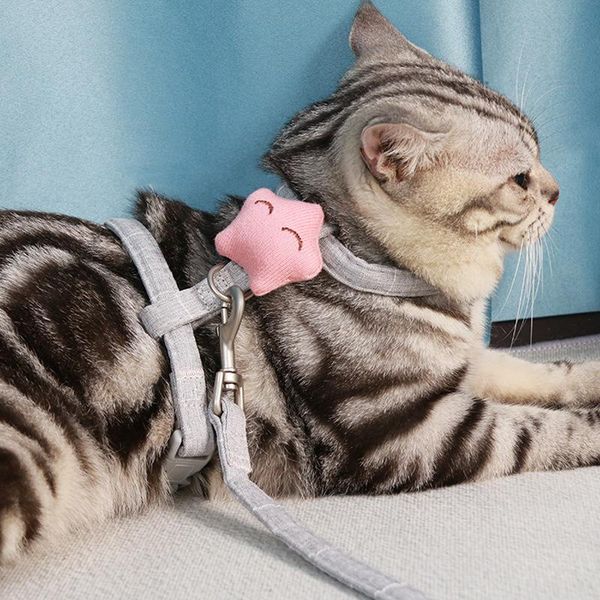 cat collars & leads pet harness leash collar adjustable chain soft dog traction rope chest strap walking for kitten puppy supplies
cat collars & leads pet harness leash collar adjustable chain soft dog traction rope chest strap walking for kitten puppy supplies