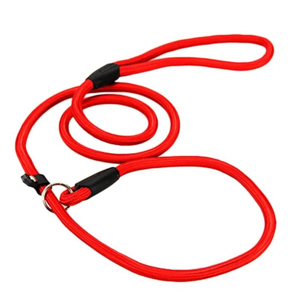 brand new nylon dog leash training dog p leash lead strap collar 3 colors 120cm
brand new nylon dog leash training dog p leash lead strap collar 3 colors 120cm