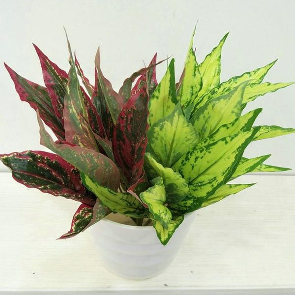 decorative flowers & wreaths manufacturers direct selling model 6 fork monolithic bamboo leaf el home indoor decoration green artificial pla
decorative flowers & wreaths manufacturers direct selling model 6 fork monolithic bamboo leaf el home indoor decoration green artificial pla