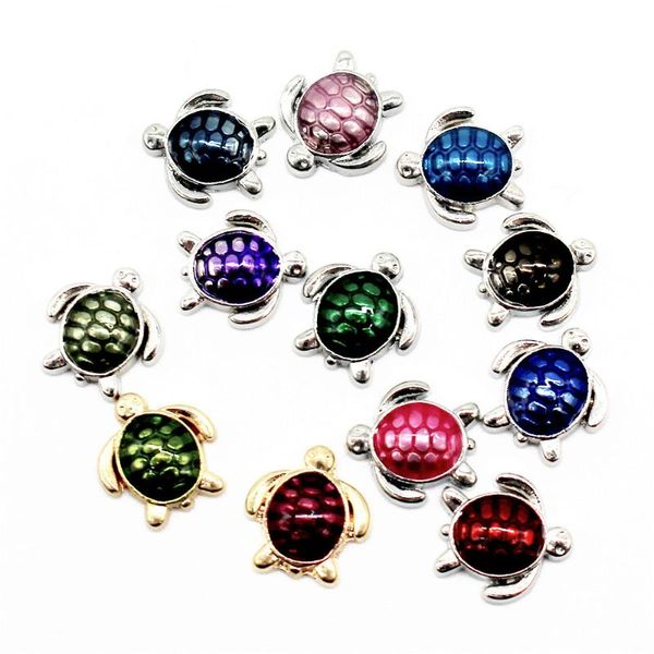 charms selling 10pcs/lot tortoise floating living glass memory locket diy jewelry, Bronze;silver
charms selling 10pcs/lot tortoise floating living glass memory locket diy jewelry, Bronze;silver
