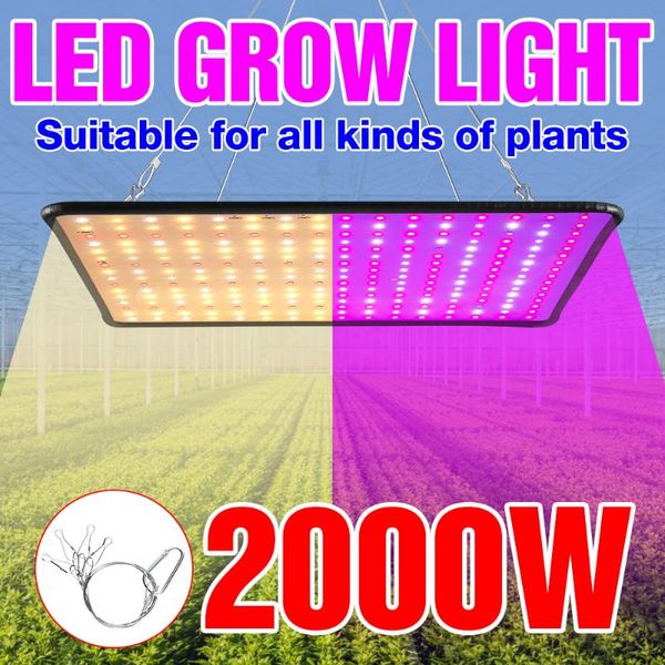 2000w indoor led grow light panel full spectrum phyto lamp for flowers lamp for plants warm white led fitolamp grow tent 2835smd
2000w indoor led grow light panel full spectrum phyto lamp for flowers lamp for plants warm white led fitolamp grow tent 2835smd