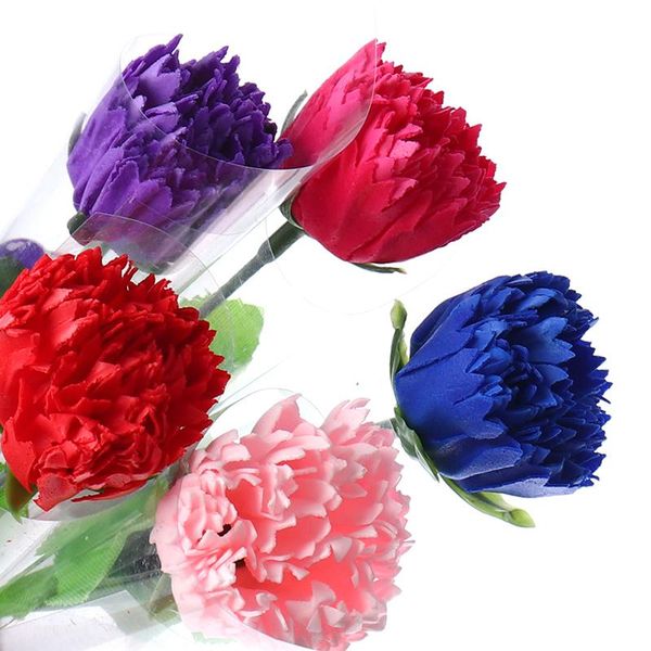 10pcs carnation mother's day creative gift artificial flower bouquet birthday party decor gifts supplies
10pcs carnation mother's day creative gift artificial flower bouquet birthday party decor gifts supplies
