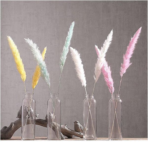 7pcs bulrush natural dried small pampas grass phragmites christmas home decor diy dried real flowers bouquet flower arr qyljye
7pcs bulrush natural dried small pampas grass phragmites christmas home decor diy dried real flowers bouquet flower arr qyljye