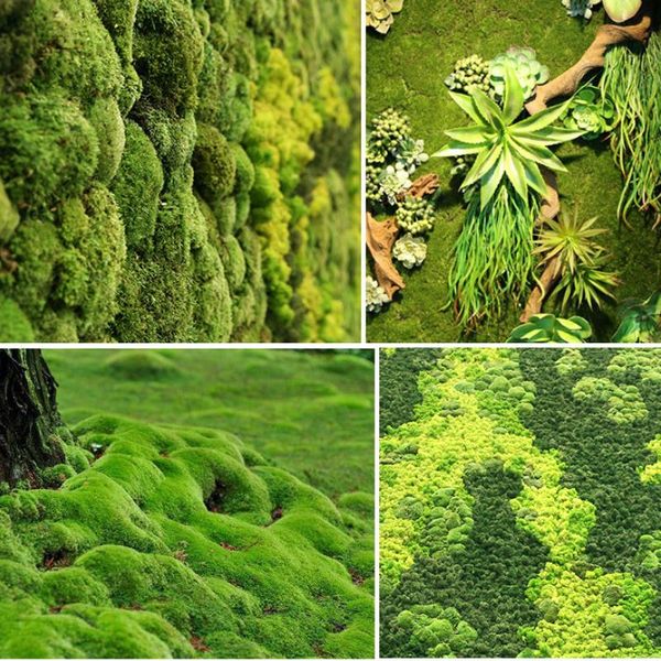 decorative flowers & wreaths 100cmx100cm artificial moss lawn grass garden fake turf home decoration wall diy flower material micro landscap
decorative flowers & wreaths 100cmx100cm artificial moss lawn grass garden fake turf home decoration wall diy flower material micro landscap