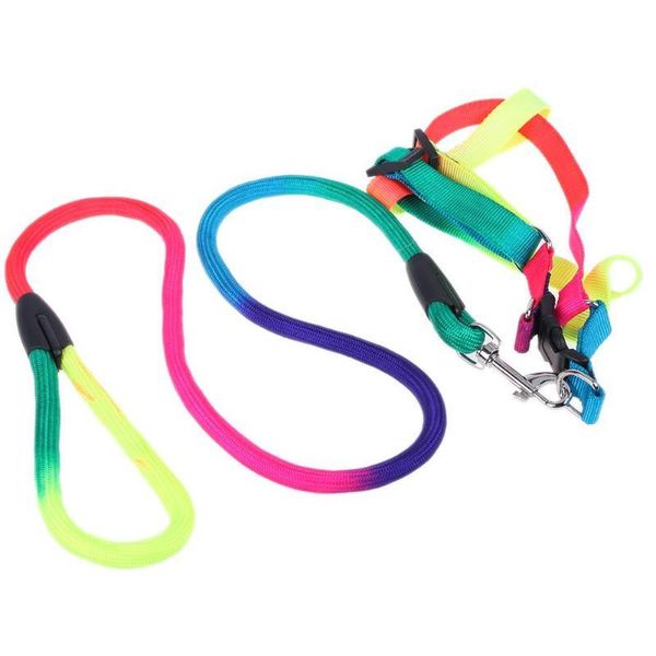 dog collars & leashes 120cm adjustable colorful chest straps pet traction ropes dogs
dog collars & leashes 120cm adjustable colorful chest straps pet traction ropes dogs