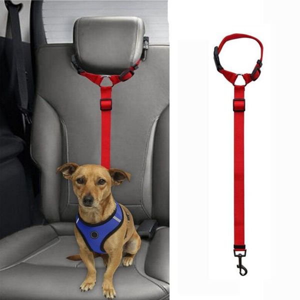 dog collars & leashes walking leash durable slib rope honden loop for stainless steel insurance deduction seat belt car
dog collars & leashes walking leash durable slib rope honden loop for stainless steel insurance deduction seat belt car