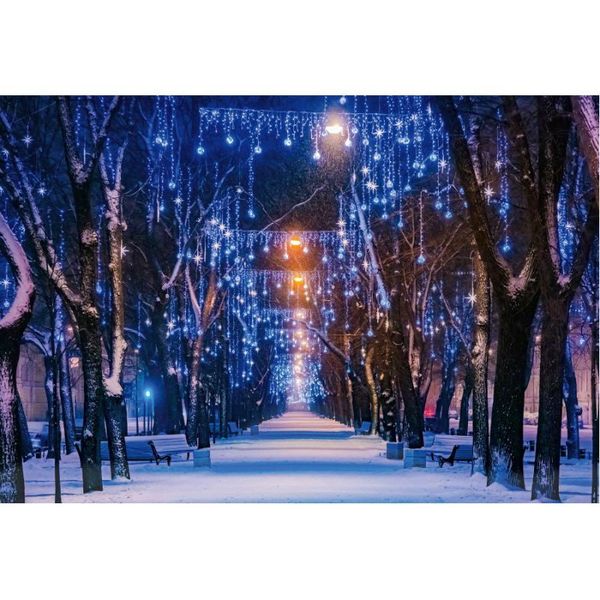 party decoration winter tree trunk light string backdrop born wedding pography background props family holiday po booth
party decoration winter tree trunk light string backdrop born wedding pography background props family holiday po booth