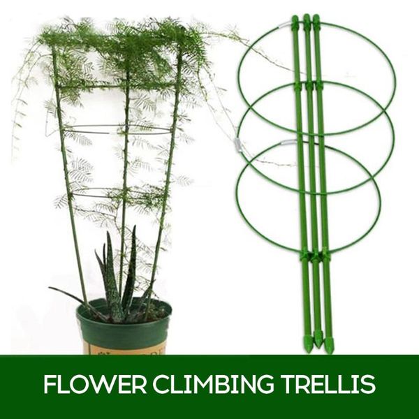 flower climbing trellis plant stem support vegetable supports rack garden flower bracket for courtyard garden indoor outdoor
flower climbing trellis plant stem support vegetable supports rack garden flower bracket for courtyard garden indoor outdoor