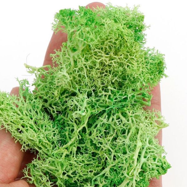 20g simulation plant moss fake dried flowers home living room decorative wall landscape diy 1 jlltrw
20g simulation plant moss fake dried flowers home living room decorative wall landscape diy 1 jlltrw