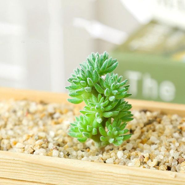 12pcs mini artificial plants succulents fake plastic garden decoration realistic faux flocking unpotted variety plant potted
12pcs mini artificial plants succulents fake plastic garden decoration realistic faux flocking unpotted variety plant potted