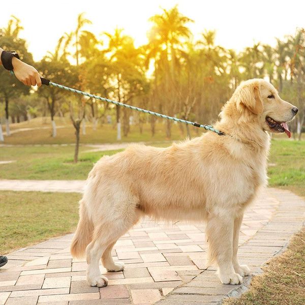 reflective nylon collar comfortable training dog leash, explosion-proof okinawa round rope p chain p rope
reflective nylon collar comfortable training dog leash, explosion-proof okinawa round rope p chain p rope