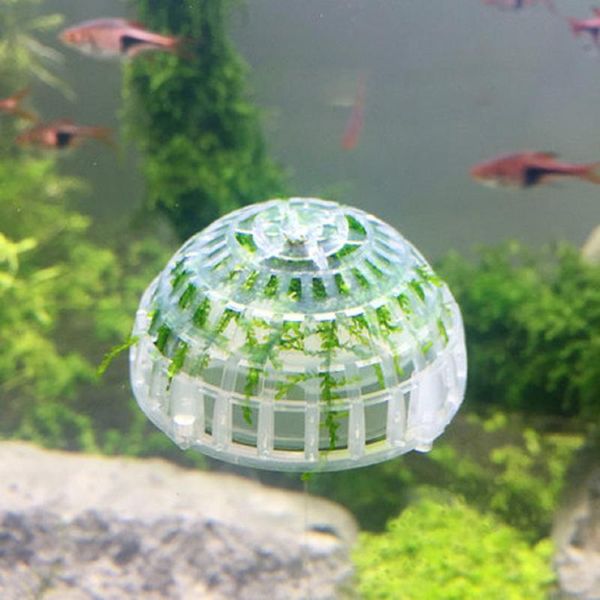 decorations transparent aquatic bio moss ball shrimp house breeding mineral submerged grass plant seaweed algae model decoration
decorations transparent aquatic bio moss ball shrimp house breeding mineral submerged grass plant seaweed algae model decoration