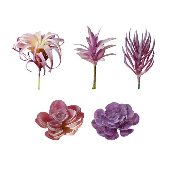 decorative flowers & wreaths 5pcs lifelike creative simulation succulent flower head artificial succulents flocking
decorative flowers & wreaths 5pcs lifelike creative simulation succulent flower head artificial succulents flocking