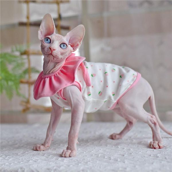 cat costumes sphynx sisters flower cute strawberry puff sleeve bow hairless clothes summer thin sleeveless skirt
cat costumes sphynx sisters flower cute strawberry puff sleeve bow hairless clothes summer thin sleeveless skirt