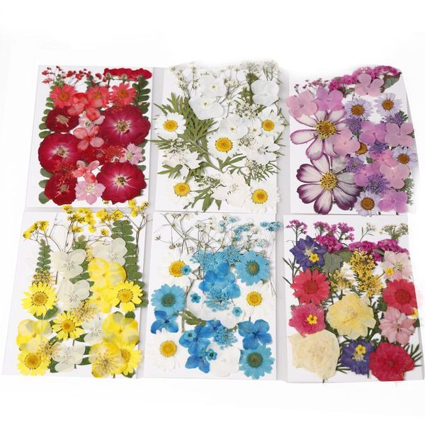 1pcs dried daisy real sun flower material flower for epoxy pendant necklace jewelry making craft phone case diy nail acc qylail
1pcs dried daisy real sun flower material flower for epoxy pendant necklace jewelry making craft phone case diy nail acc qylail