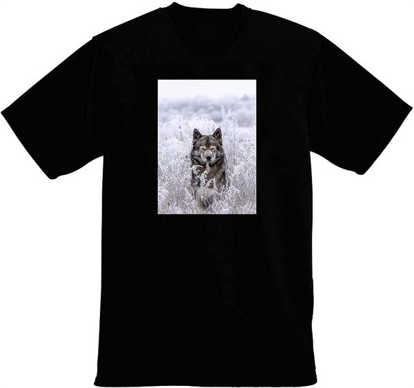 men's t-shirts wolf in snowy landscape t-shirt, White;black
men's t-shirts wolf in snowy landscape t-shirt, White;black