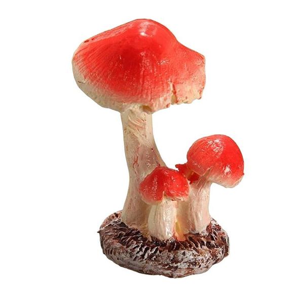 yard 3 head red mushroom toadstool miniature fairy garden terrarium figurine dollhouse decor
yard 3 head red mushroom toadstool miniature fairy garden terrarium figurine dollhouse decor