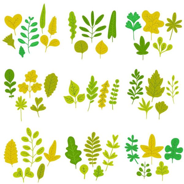 painting supplies leaf set foliage craft paper dies cut diy handmade mold scrapbook for card making stencils embossing 2021
painting supplies leaf set foliage craft paper dies cut diy handmade mold scrapbook for card making stencils embossing 2021