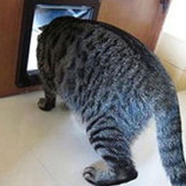 cat carriers,crates & houses pet products door hole dog can control the direction of entry and exit kennel
cat carriers,crates & houses pet products door hole dog can control the direction of entry and exit kennel